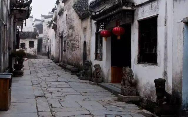 壮大乡村产业是增加小农户收入的关键